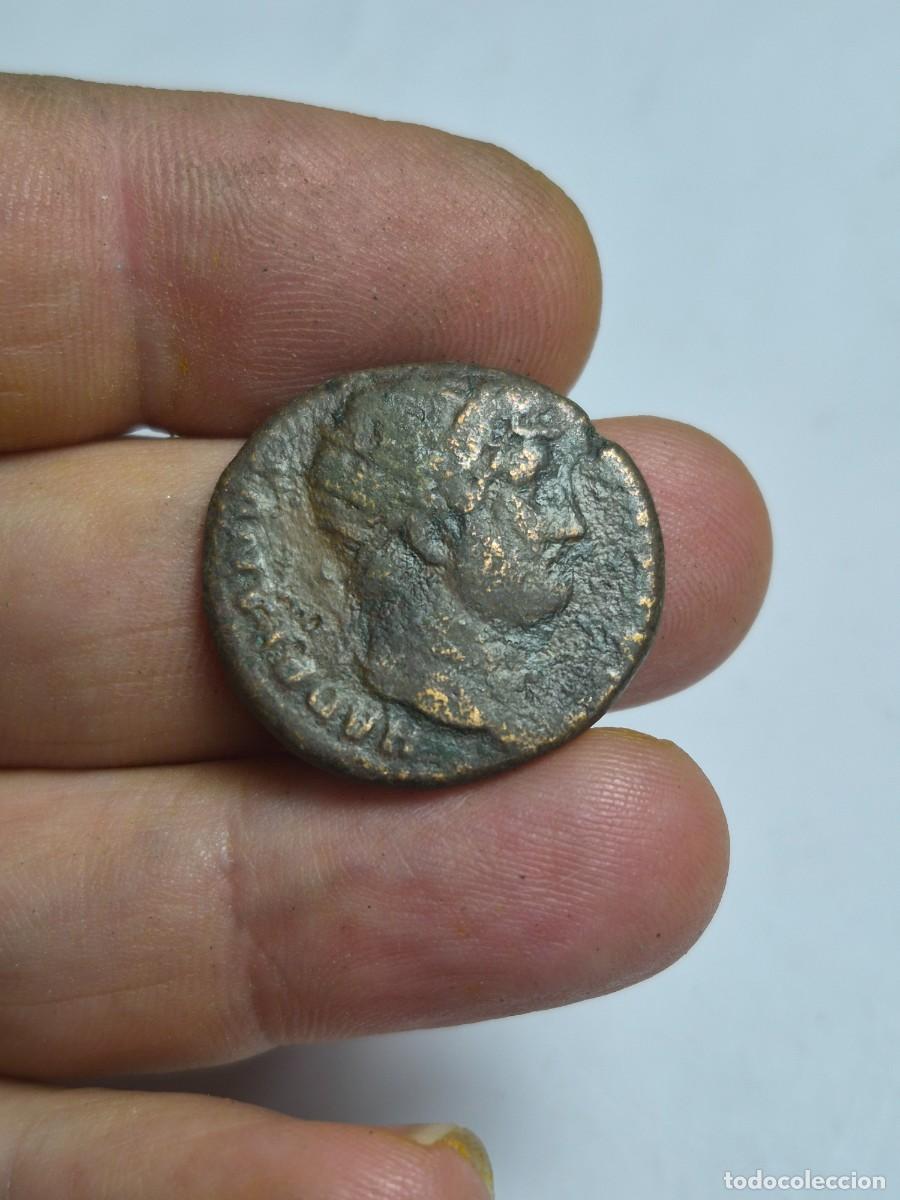 Monedas Imperio romano: NT/ DUPONDIO ADRIANO REV. DIOSA 9.95 grs (A1266)