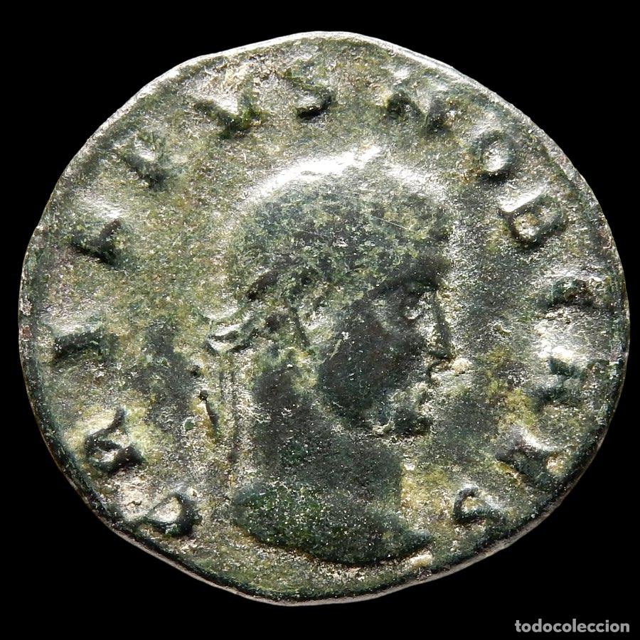 Monedas Imperio romano: Raro Crispo. Follis. CAESARVM NOSTRORVM VOT V. A155-M