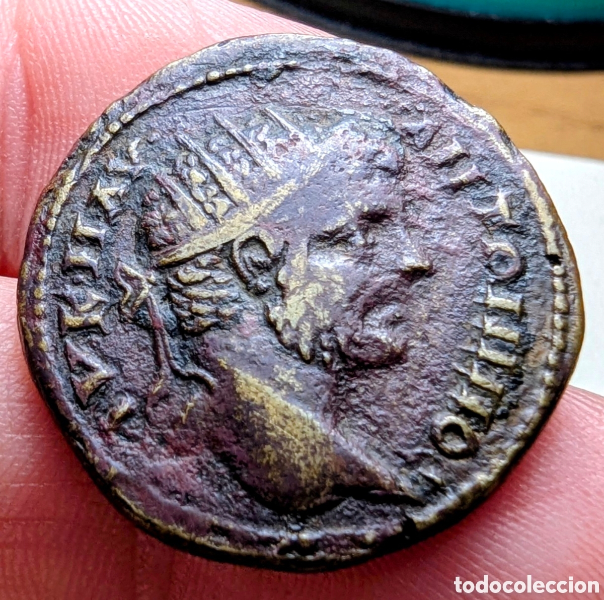 Monedas Imperio romano: Tetrassarion Caracalla 198-217 d.C. Tomis