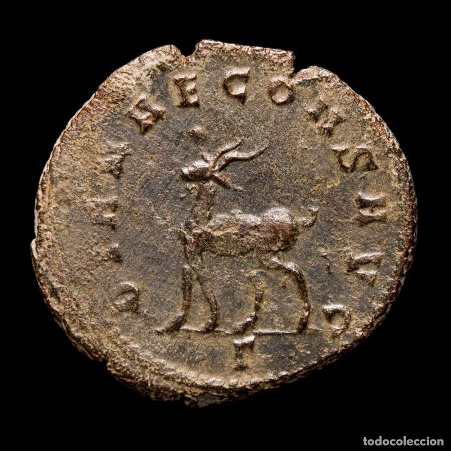 Monedas Imperio romano: Galieno. Antoniniano, Roma. DIANAE CONS AVG XI - ant&iacute;lope (233)