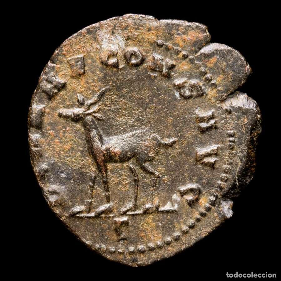 Monedas Imperio romano: Galieno. Antoniniano, Roma. DIANAE CONS AVG XI - ant&iacute;lope (239)