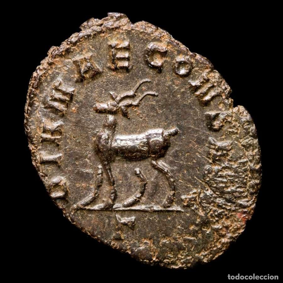 Monedas Imperio romano: Galieno. Antoniniano, Roma. DIANAE CONS AVG XI - ant&iacute;lope (241)