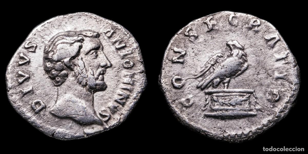 Monedas Imperio romano: Antoninus Pius Denarius - CONSECRATIO - 18 mm / 3,24 gr.