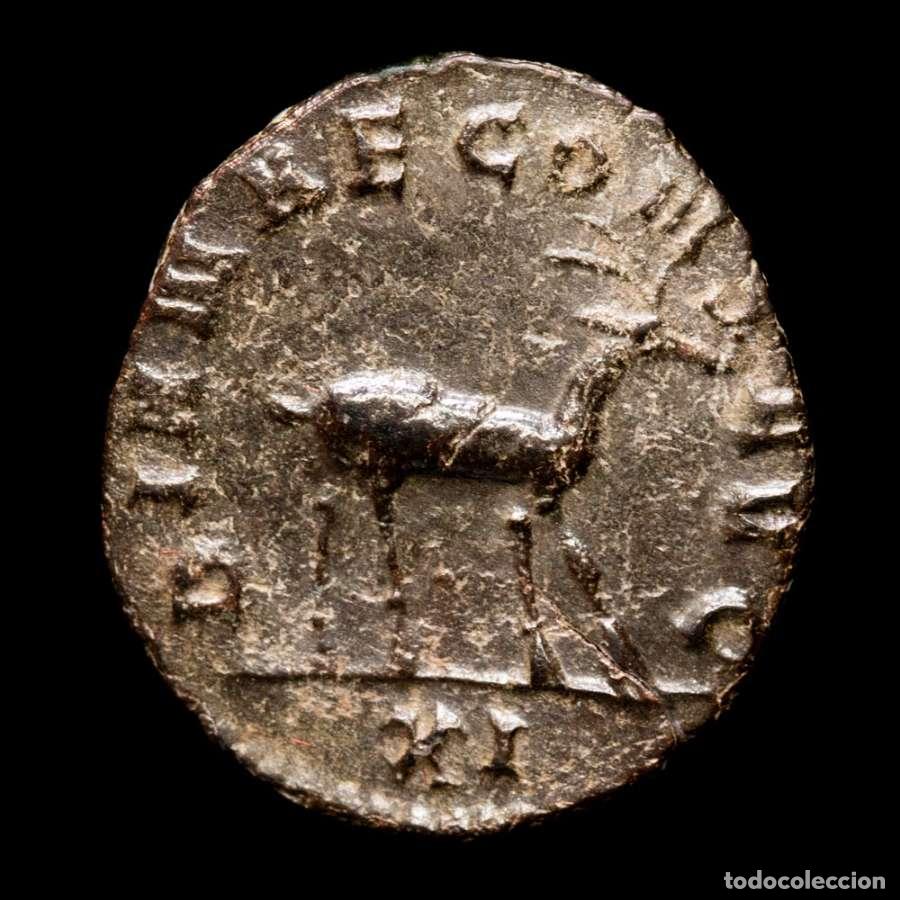 Monedas Imperio romano: Galieno. Antoniniano, Roma. DIANAE CONS AVG XI - ant&iacute;lope (251)
