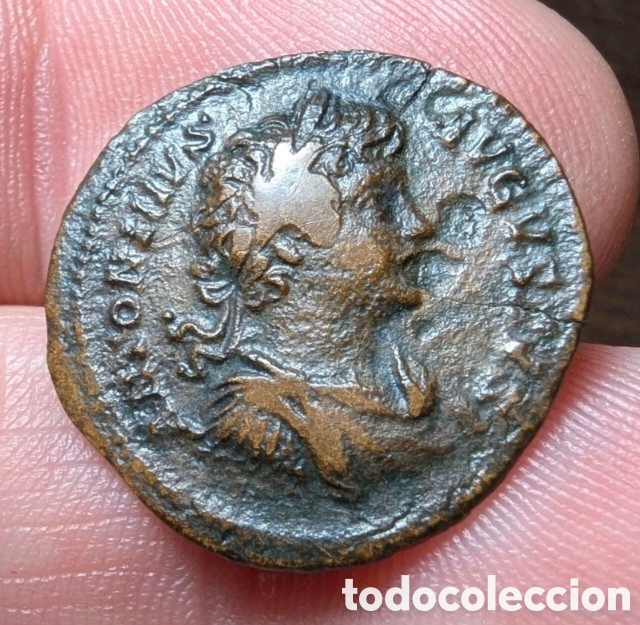 Monedas Imperio romano: Denario de limes Caracalla 202 d.C. &rdquo;h&iacute;brido Plautilla&rdquo;