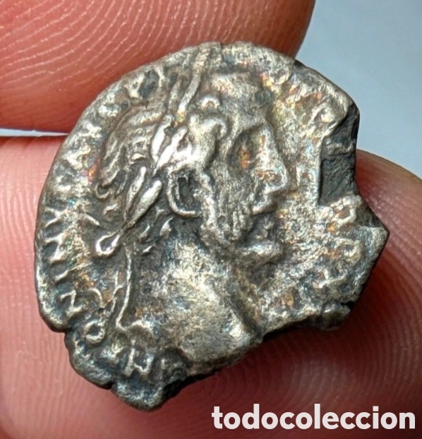 Monedas Imperio romano: Denario Antonino P&iacute;o 152 d.C. &rdquo;cospel faltado&rdquo;