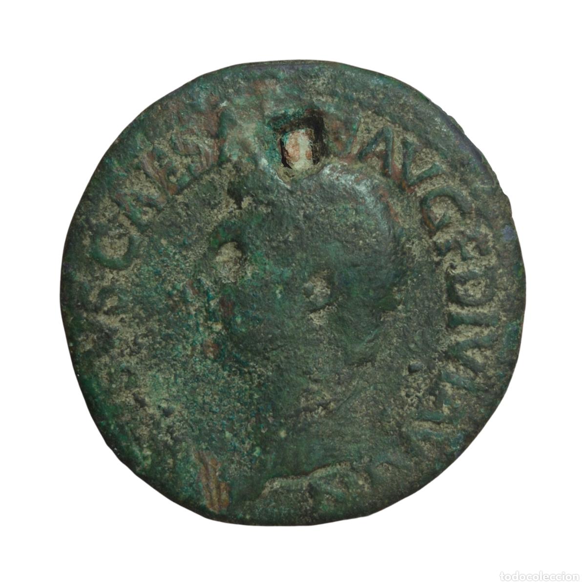 Monedas Imperio romano: NT/ AS DRUSO REV. SC (A1320)