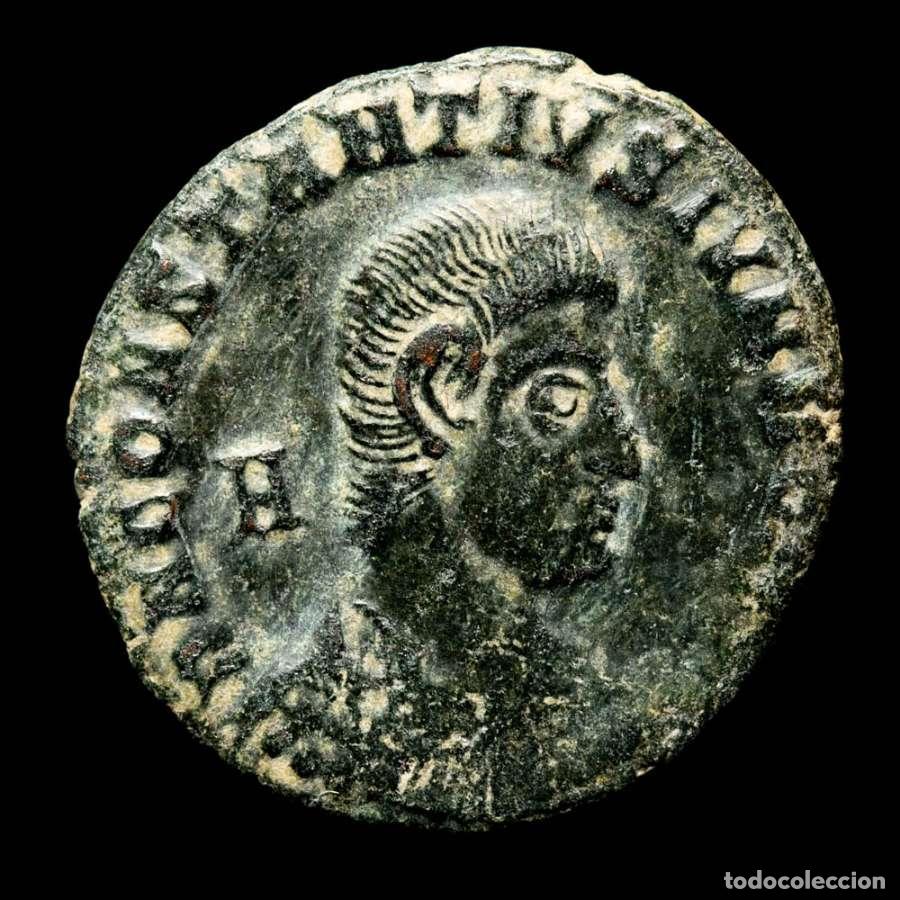 Monedas Imperio romano: Constancio Galo - Maiorina, Siscia - Jinete caido II - &bull;ASIS palm