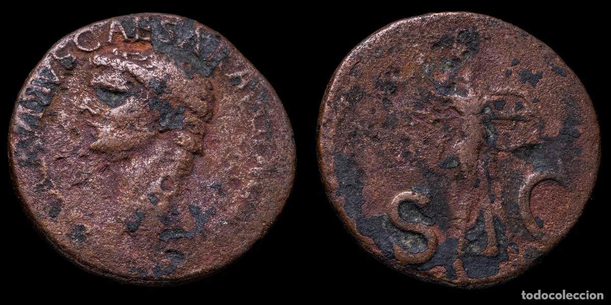 Monedas Imperio romano: Claudius As - MINERVA/SC - 26 mm / 10,89 gr.