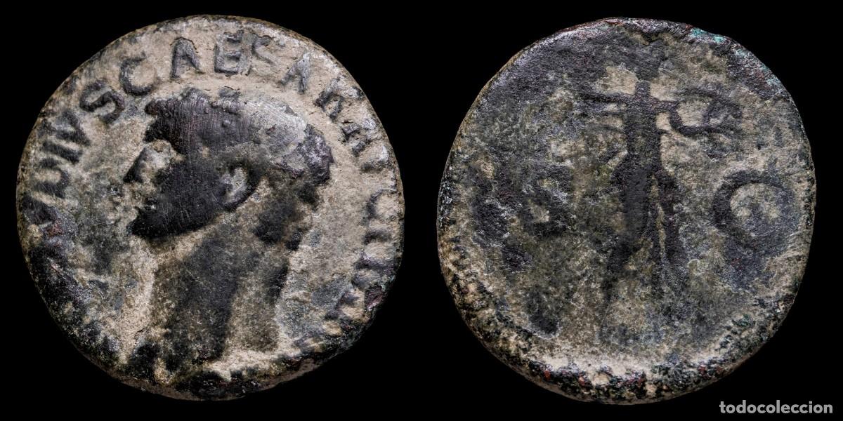 Monedas Imperio romano: Claudius As - MINERVA SC - 27 mm / 9,62 gr.