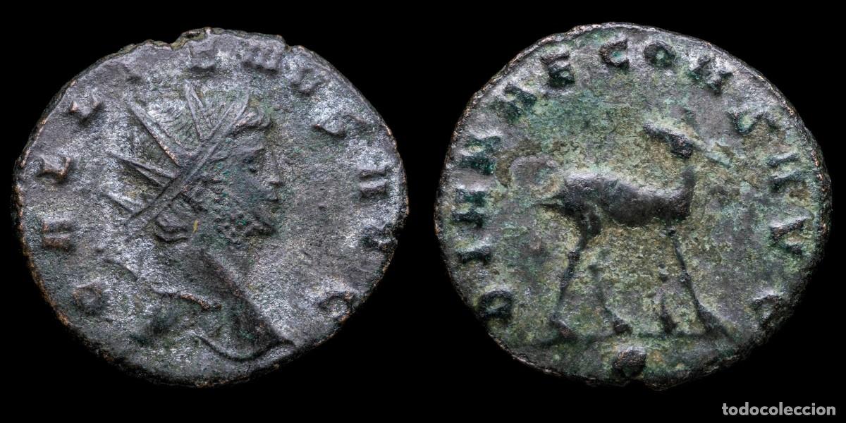 Monedas Imperio romano: Gallienus Antoninianus - DIANAE CONS AVG, Rome - 20 mm / 3,45 gr.