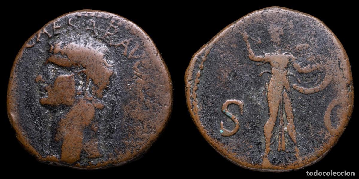 Monedas Imperio romano: Claudius As - MINERVA SC - 26 mm / 11,39 gr.