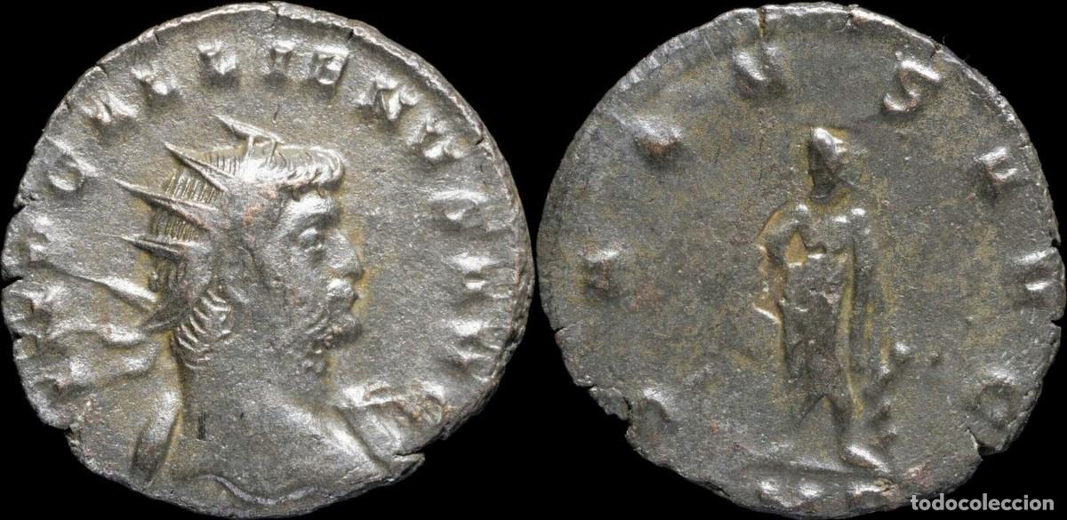 Roman Empire Coins: Gallienus Antoninianus - SALVS AVG - 21 mm / 2,66 gr.