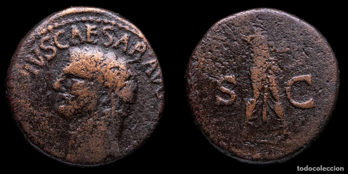 Monedas Imperio romano: Claudius As - MINERVA SC - 25 mm / 12,11 gr.