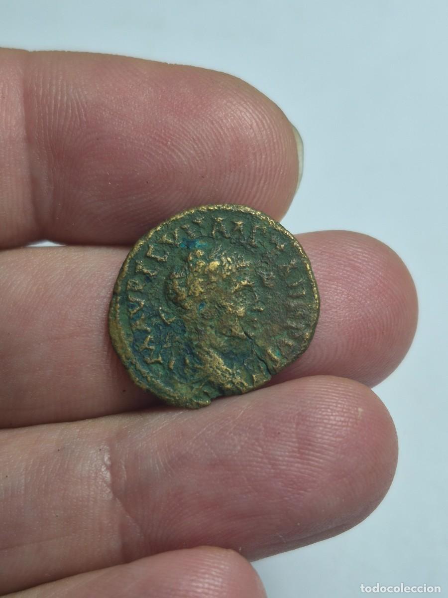 Monedas Imperio romano: NT / ALEJANDRO SEVERO BRONCE GRECORROMANO ASSARION 2,60 GRS (A1284)