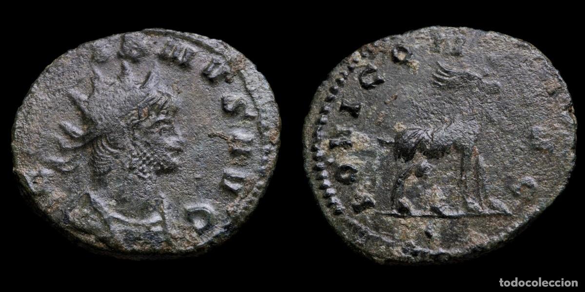 Monedas Imperio romano: Gallienus Antoninianus - IOVI CONS AVG - 21 mm / 2,77 gr.