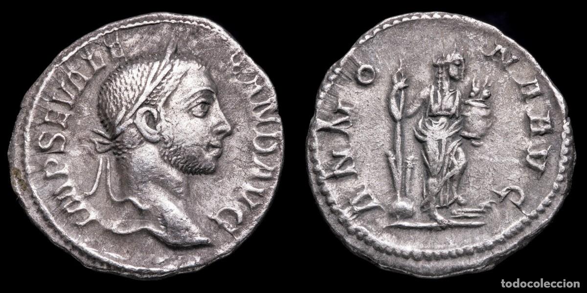 Monedas Imperio romano: Severus Alexander Denarius - ANNONA AVG - 19 mm / 2,67gr.