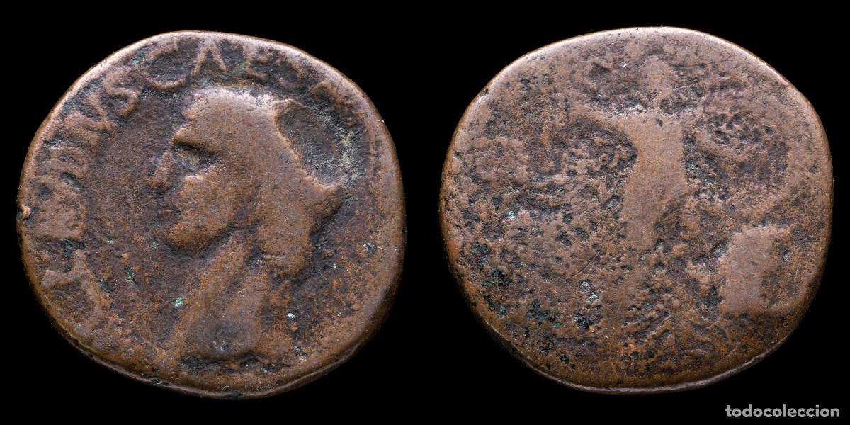 Monedas Imperio romano: Claudius As - MINERVA SC - 26 mm / 10,13 gr.