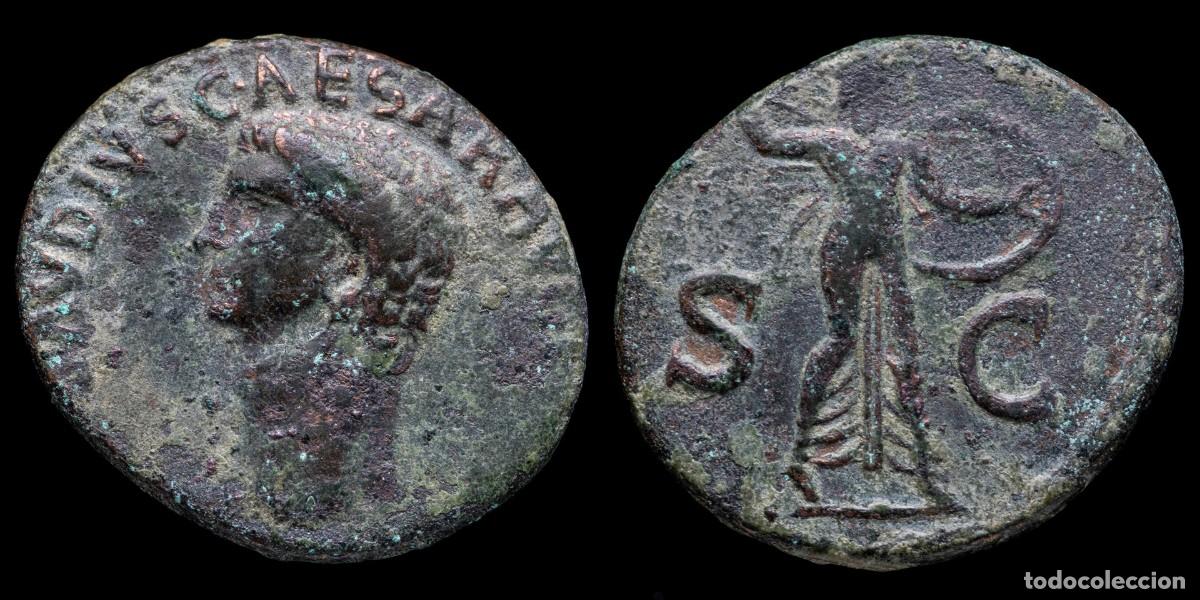 Monedas Imperio romano: Claudius As - MINERVA SC - 27 mm / 11,42 gr.