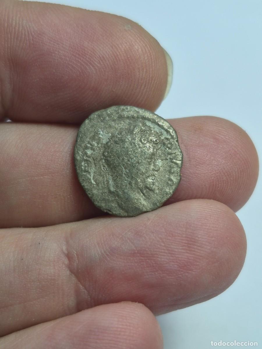 Monedas Imperio romano: NT/ DENARIO SEPTIMIO SEVERO MUY LIMPIADO 1,88 GRS (A1428)