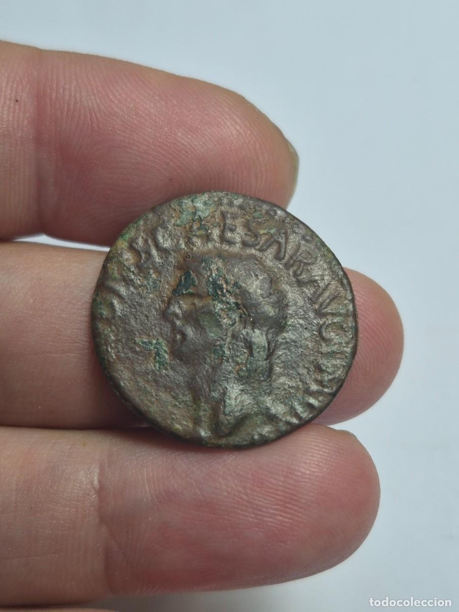 Monedas Imperio romano: NT/ AS CLAUDIO ACU&Ntilde;ACION HISPANA 8,62 GRS (A1466)