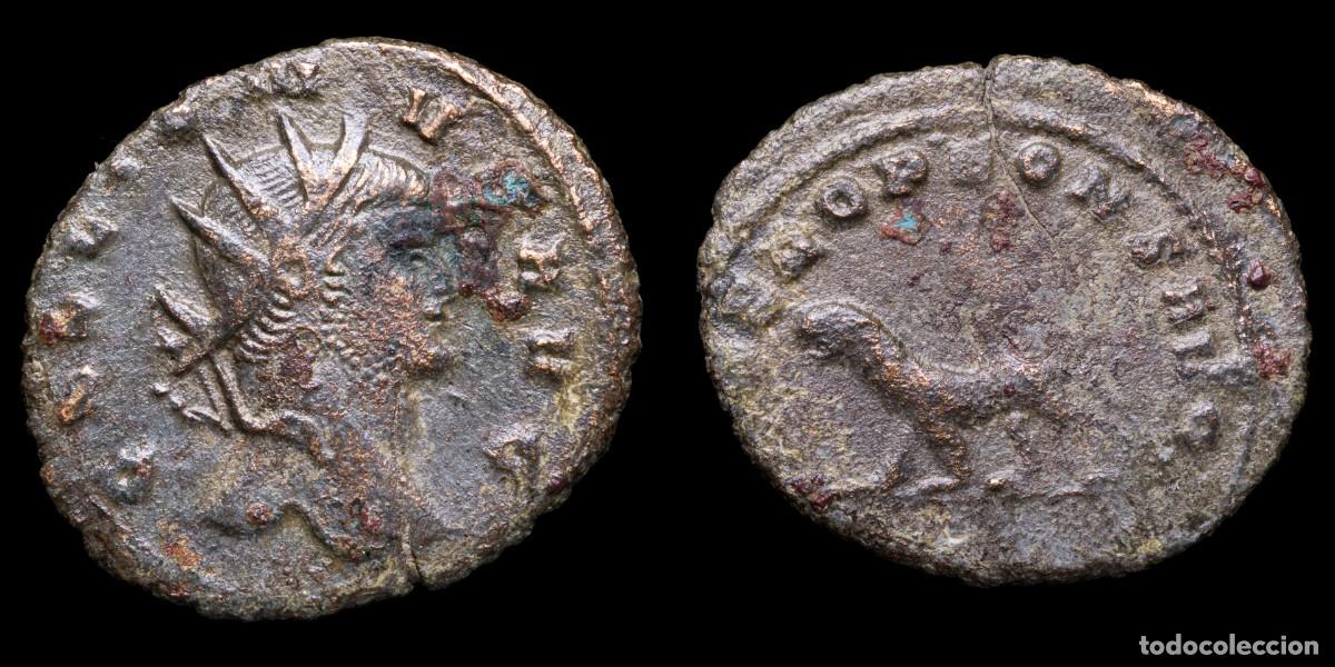 Monedas Imperio romano: Gallienus Antoninianus - LIBERO P CONS AVG, Rome - 22 mm / 2,92 gr.