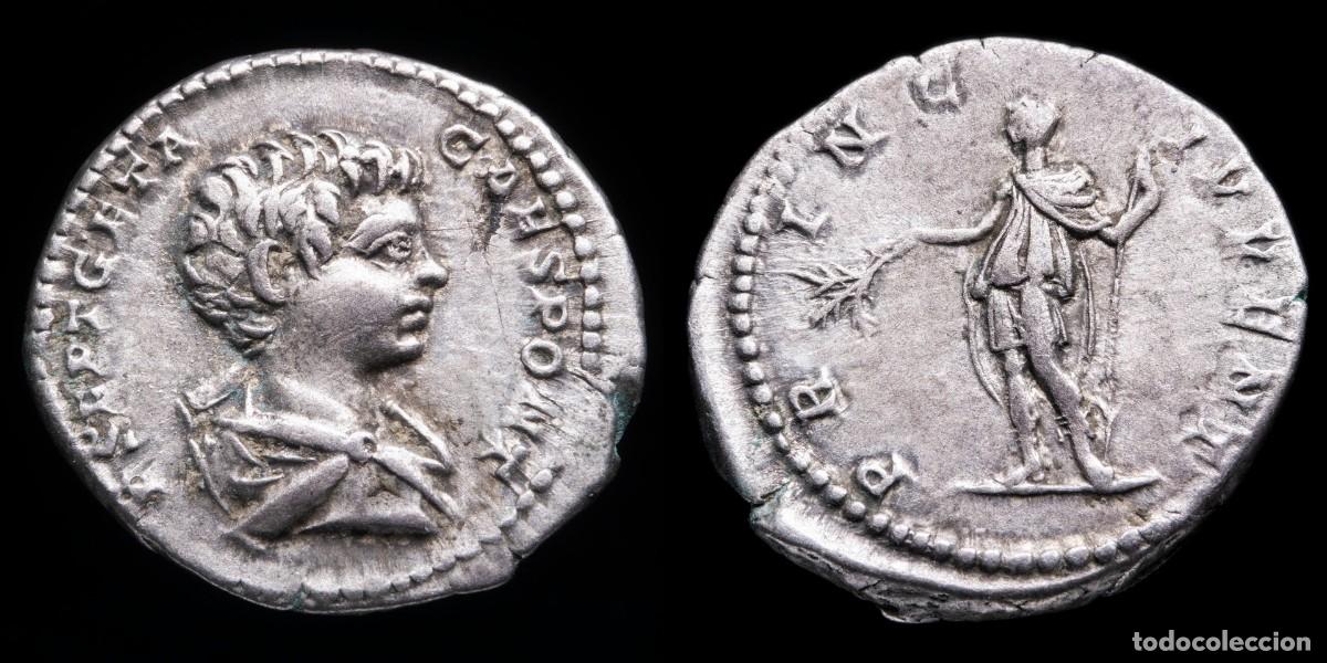 Monedas Imperio romano: Geta Denarius - PRINC IVVENT - 19 mm / 3,36 gr.