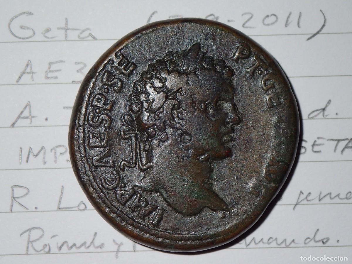 Monedas Imperio romano: AE32 PISIDIA GETA LOBA MUY RARA 209-211 Pisidia Geta Wolf extremely rare