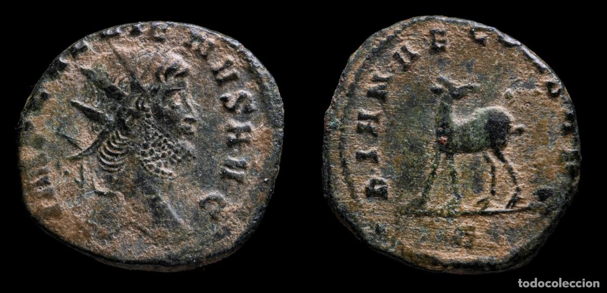 Monedas Imperio romano: Gallienus Antoninianus - DIANAE CONS AVG - 20 mm / 3,44 gr.