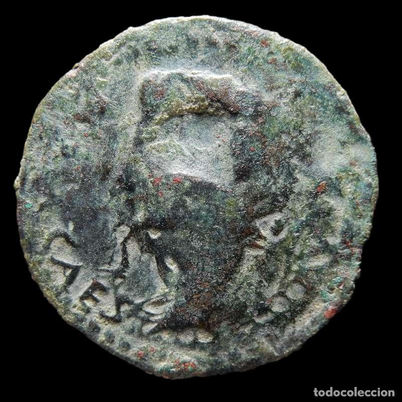 Monedas Imperio romano: Augusto As, Julia Traducta, DOBLE ACU&Ntilde;ACI&Oacute;N. 832-M