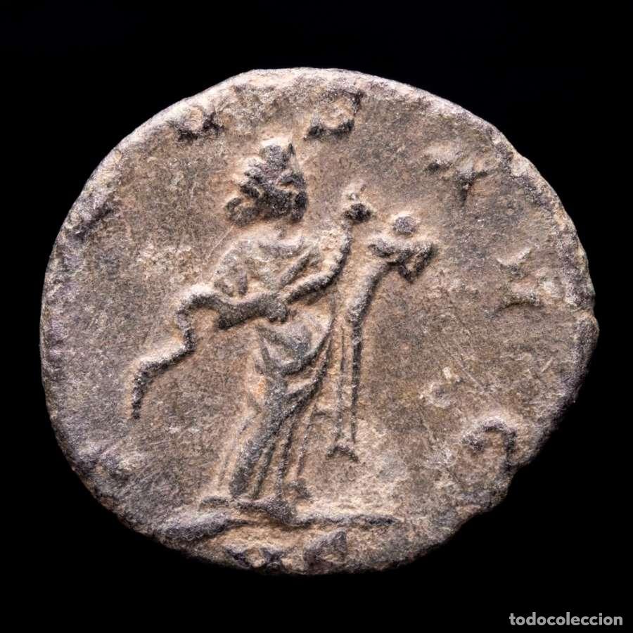 Monedas Imperio romano: Galieno 253-268 dC. Antoniniano Mediolanum. SALVS AVG / MS - Salus