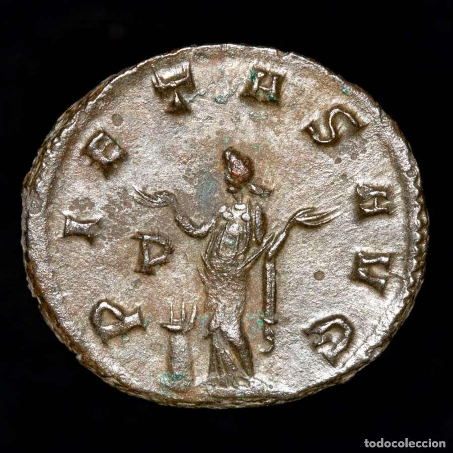 Monedas Imperio romano: Galieno 253-268. Antoniniano de Milan. PIETAS AVG / P. (627)