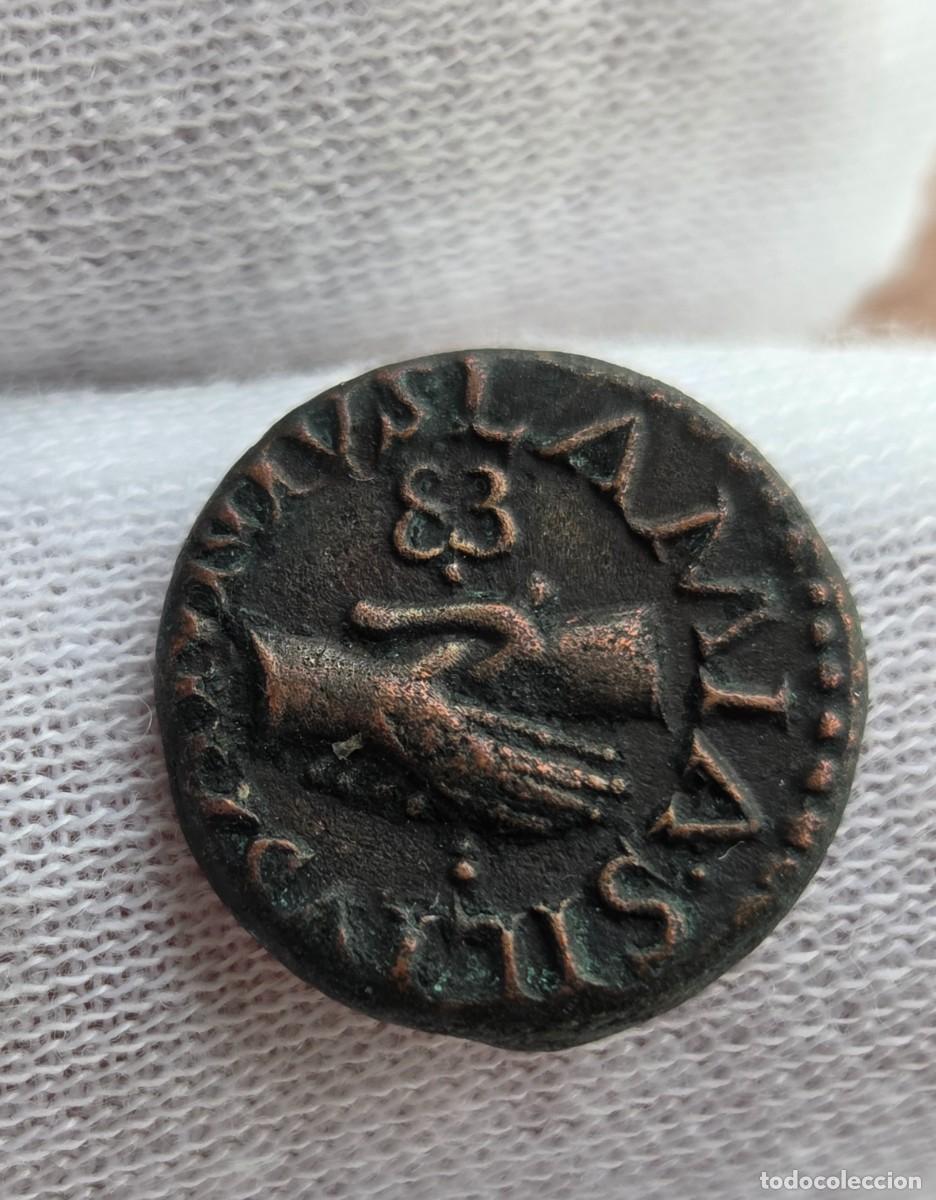 Monedas Imperio romano: Muy Bonito Octavio Augusto, Cuadrante ,Augusto. Lamia, Silius y Annius