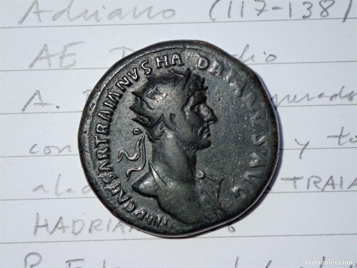 Monedas Imperio romano: AE DUPONDIO ADRIANO 118 Dupondius Hadrian