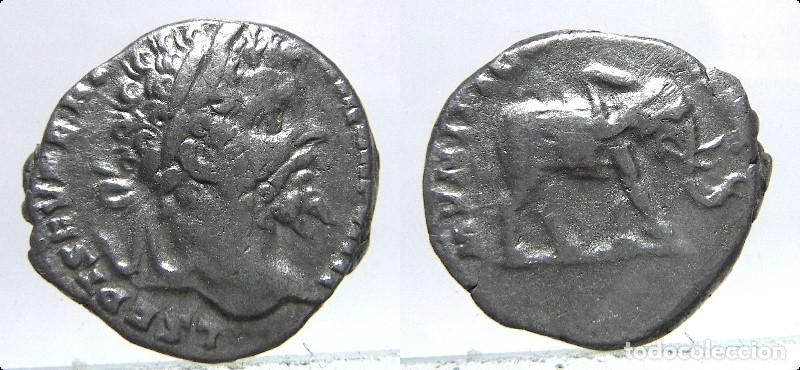 Monedas Imperio romano: Denario de plata de Septimio Severo , reverso MVNIFICENTIA AVG peso 2,70 gr.