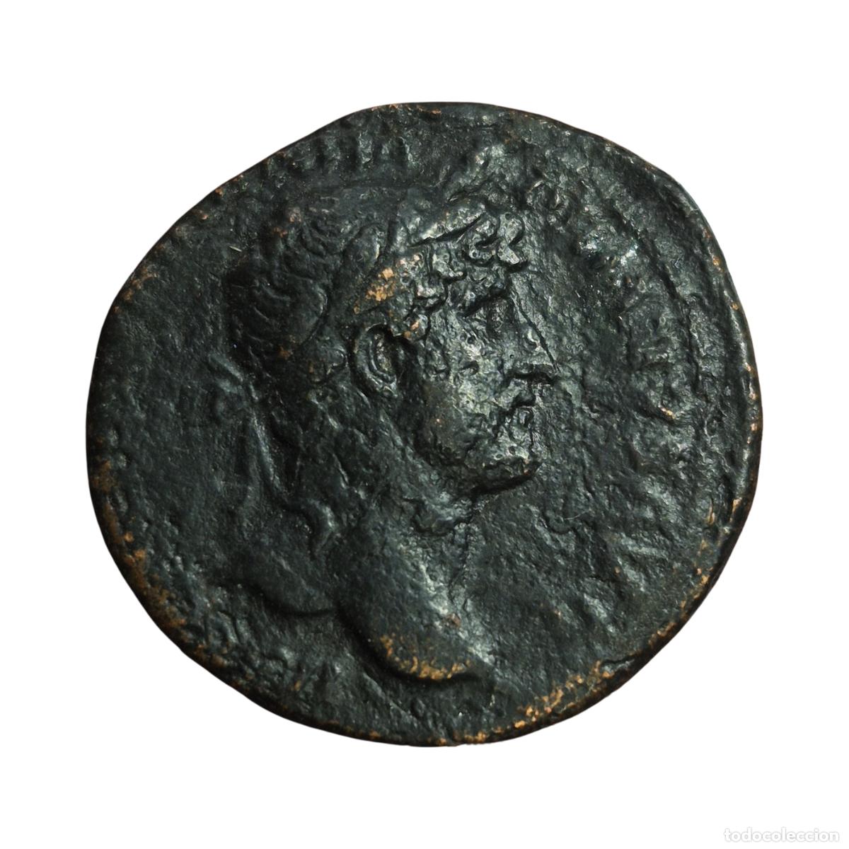 Monedas Imperio romano: NT/ AS ADRIANO PAX (A1582)