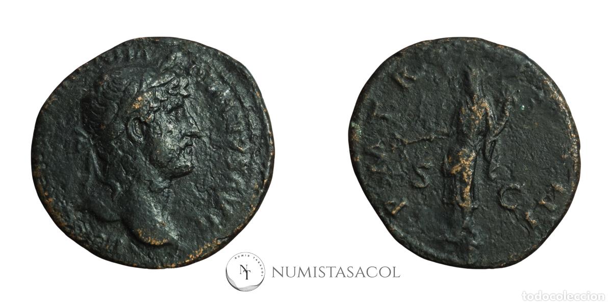 Monedas Imperio romano: NT/ AS ADRIANO PAX (A1582) - Foto 3
