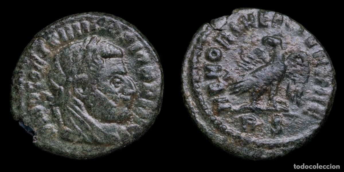 Monedas Imperio romano: Divus Constantius I Half Follis - MEMORIAE AETERNAE, Rome - 16 mm / 1,95 gr.