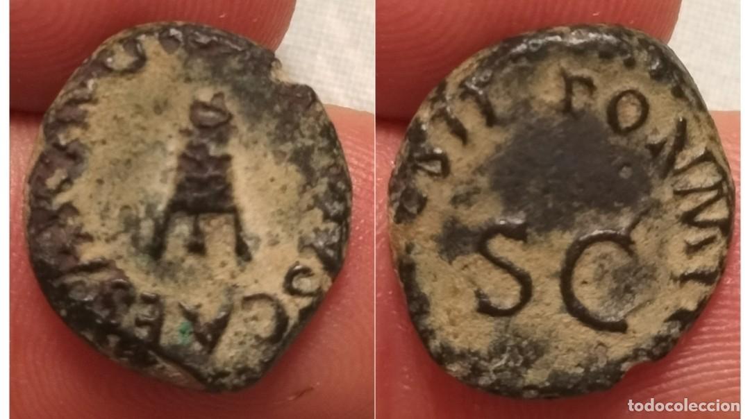 Monedas Imperio romano: Cuadrante de Claudio I ( 41-54 DC) modio