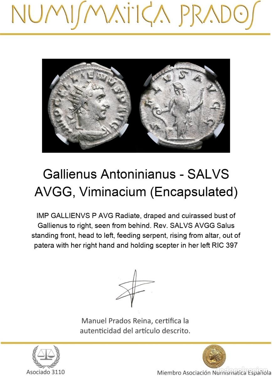 Monedas Imperio romano: Gallienus Antoninianus - SALVS AVGG, Viminacium (Encapsulated) - Foto 2