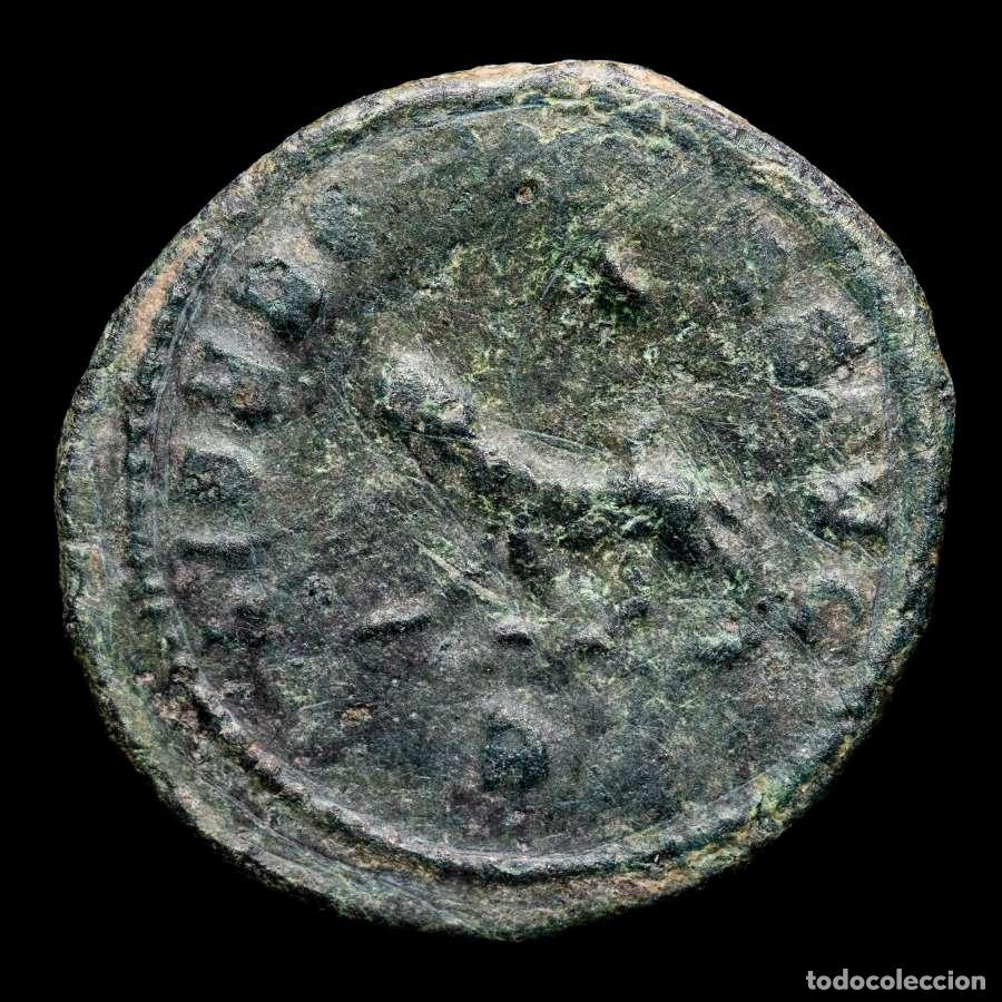 Monedas Imperio romano: Galieno, antoniniano AE. Roma. LIBERO CONS AVG B. Pantera (G62)