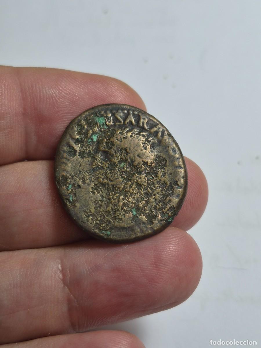 Monedas Imperio romano: NT/ AS CLAUDIO R/ PALAS BUEN PESO 14,01 grs (A1630)