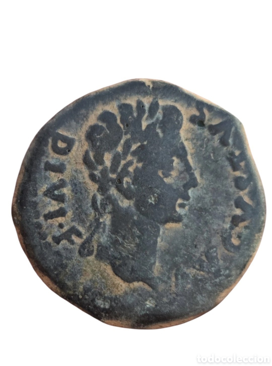 Monedas Imperio romano: Buen As de Augusto , Acci