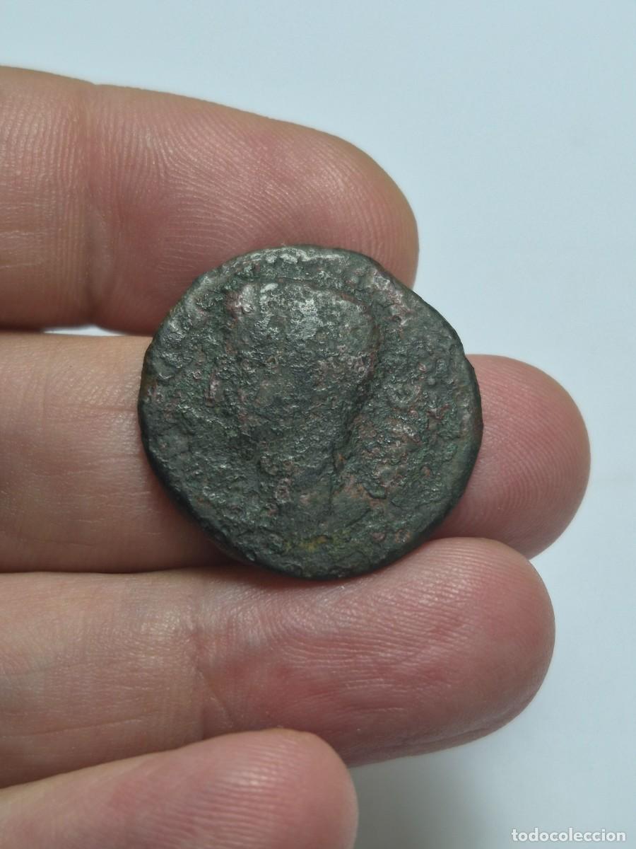 Monedas Imperio romano: NT/ AS IBERORROMANO DE AUGUSTO COLONIA PATRICIA 9,83 grs (A1659)