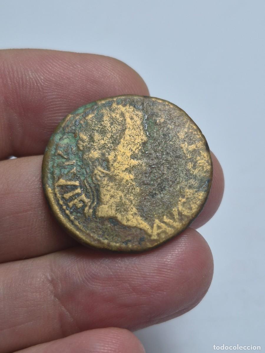 Monedas Imperio romano: NT/ AS IBERORROMANO DE AUGUSTO CARTAGONOVA 12,84 grs (A1661)
