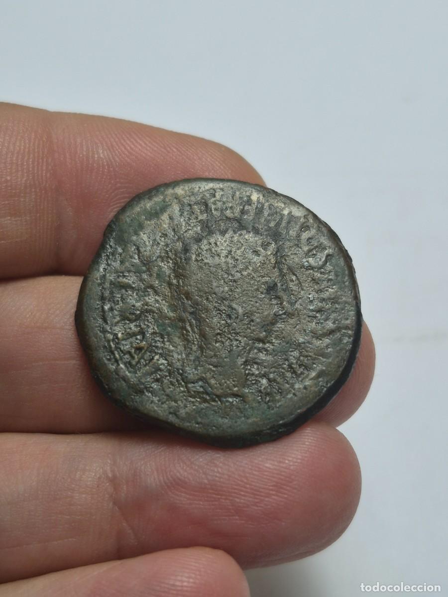 Monedas Imperio romano: NT/ AS IBERORROMANO DE AUGUSTO BILBILIS MODULO GRANDE 14,24 grs (A1666)