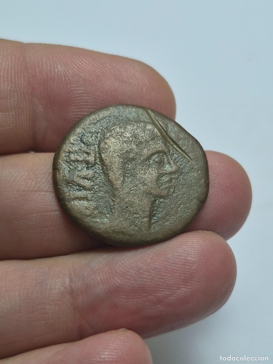 Monedas Imperio romano: NT/ AS IBERORROMANO DE AUGUSTO CALAGURRIS 9,76 grs (A1669)