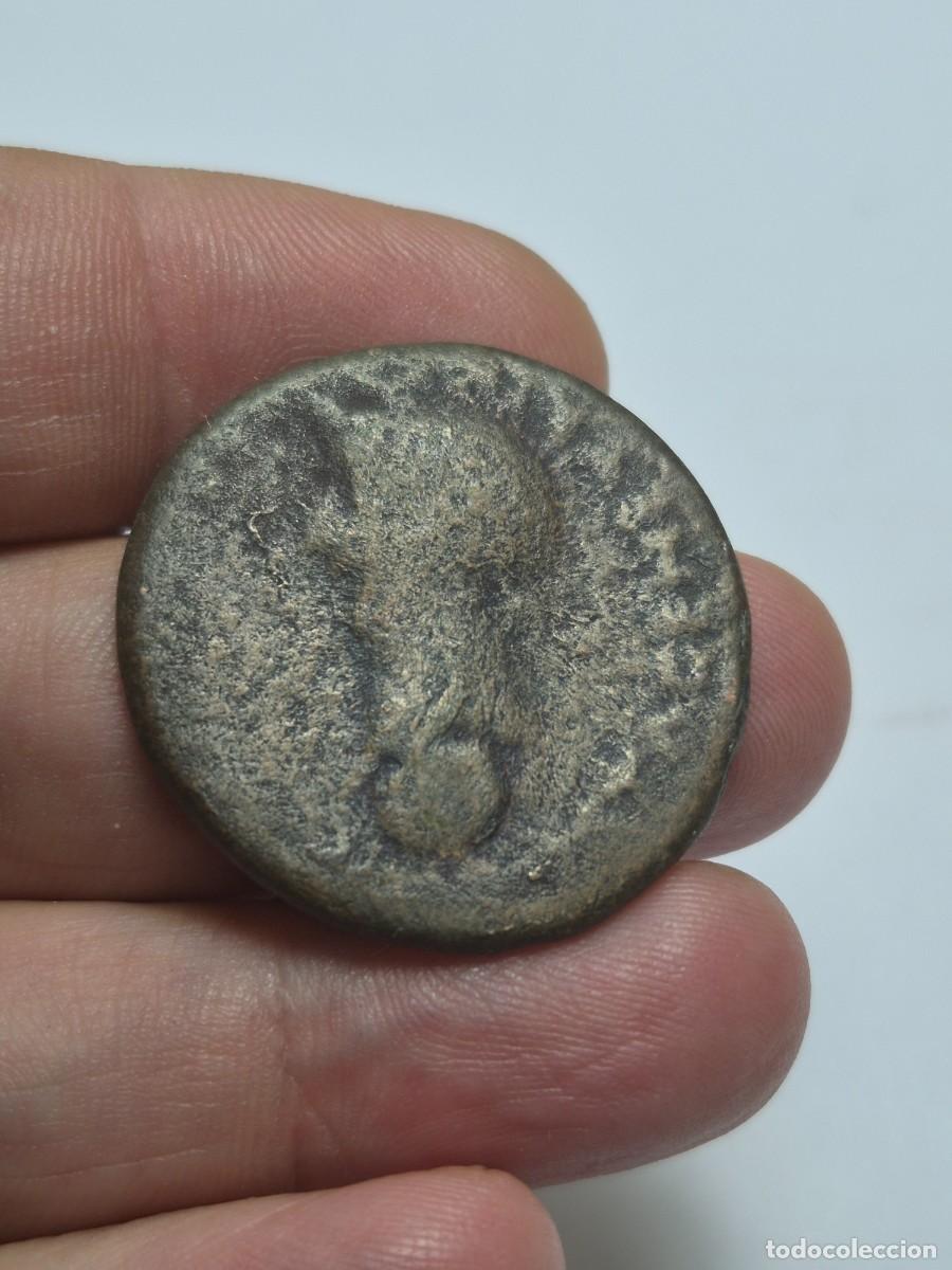 Monedas Imperio romano: NT/ DUPONDIO IBERORROMANO DE AUGUSTO Y LIVIA COLONIA ROMULA 18,41 grs (A1670)