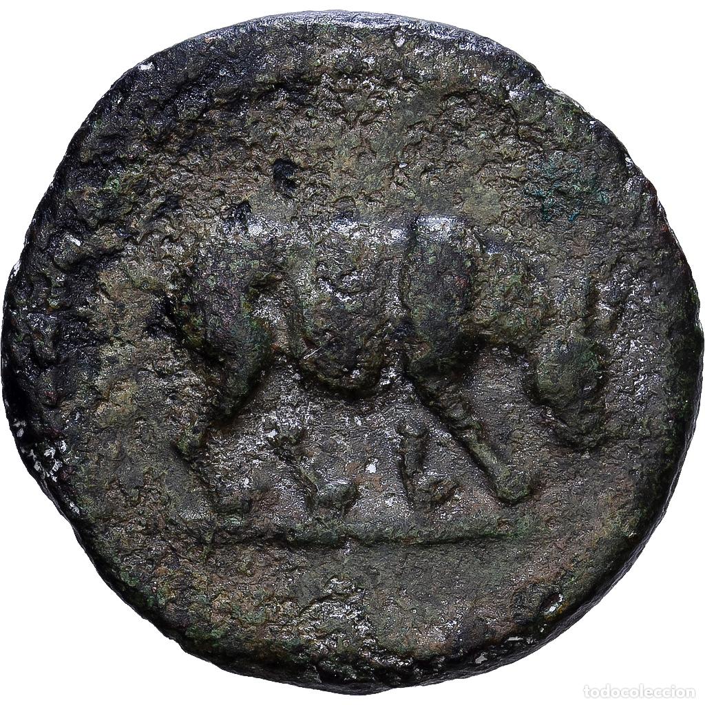 Monedas Imperio romano: [#1547209] Roman Empire, Domitian, Quadrans, 84-85, Rome, Bronce, BC+, RIC:249