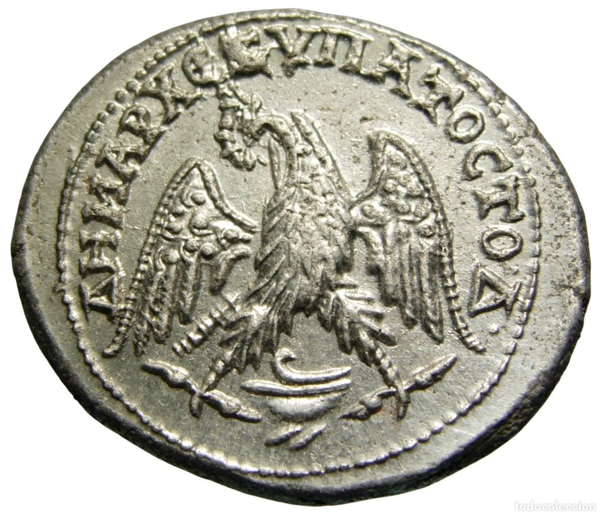 Monedas Imperio romano: Caracalla AR Tetradracma (215-217 dC), &Aacute;guila - Fenicia, Beirut